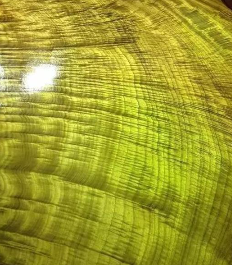 金絲楠烏木：如何區(qū)別金絲楠、黃心楠、黃金樟