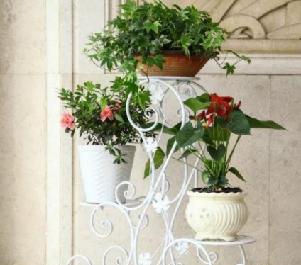 【室內(nèi)花架子】家用花架材質(zhì)都分為哪些？花架挑選技巧分享推薦